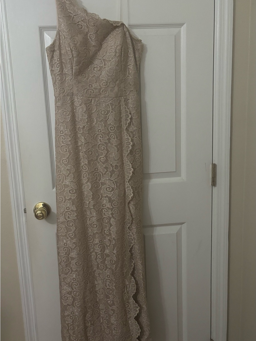 David's Bridal One-Shoulder Lace Gown in Beige